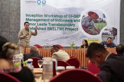 Research and Studies