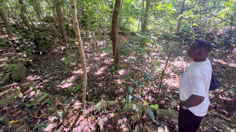 Bentang Lintas Batas #6 - Alas Village