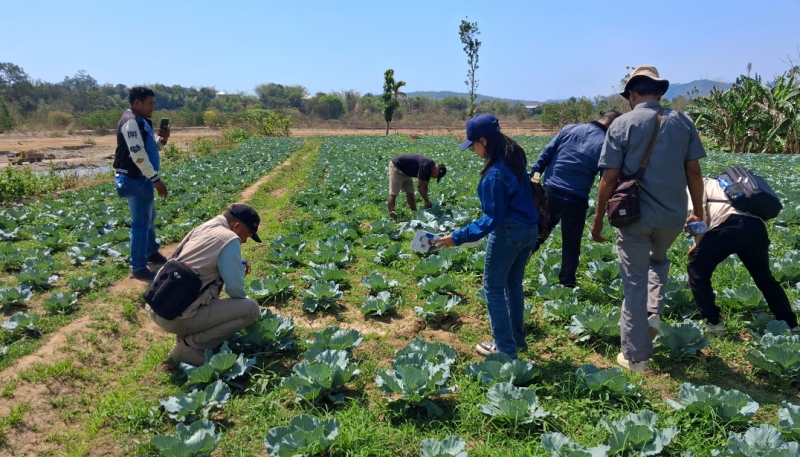 Strengthening PPL as a Strategy to Develop Better Dryland Agricultural Practices in Watershed Areas